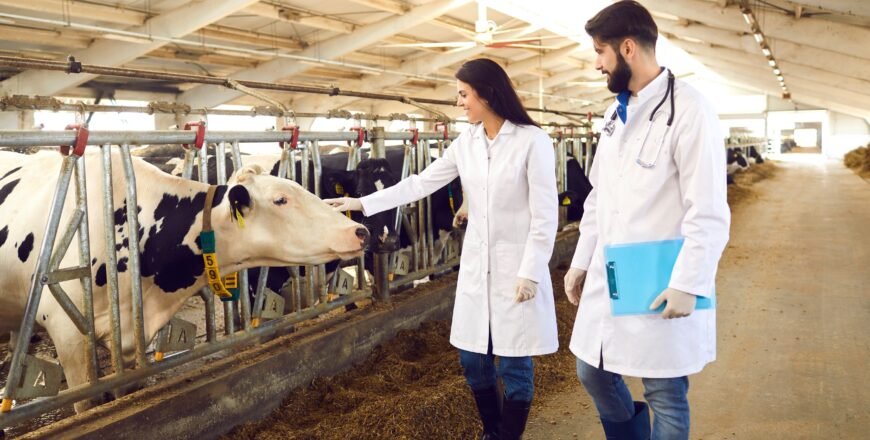 الدبلوم التخصصي في الطب البيطري